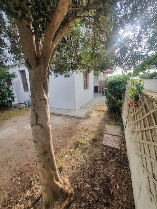 Ccc Holiday Properties Le Vele Ccc Montalto di Castro Eksteriør billede