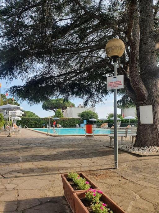 Ccc Holiday Properties Le Vele Ccc Montalto di Castro Eksteriør billede