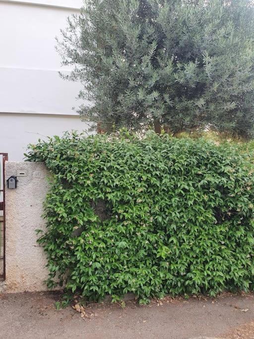 Ccc Holiday Properties Le Vele Ccc Montalto di Castro Eksteriør billede