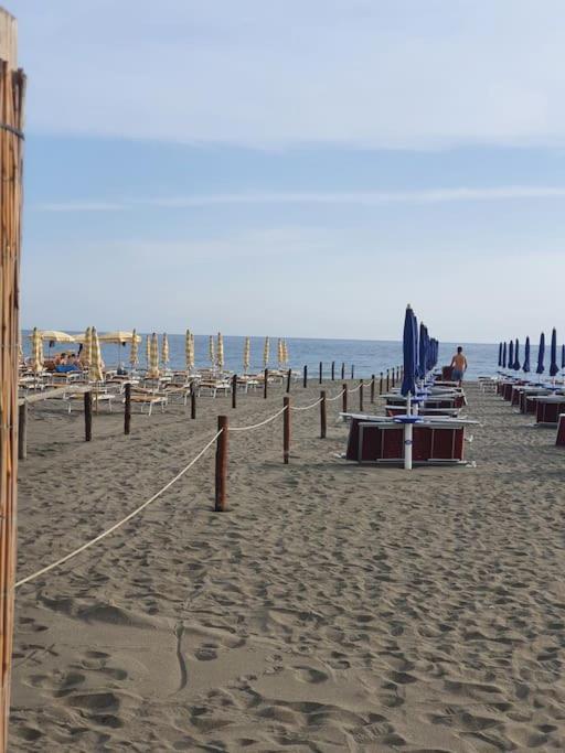 Ccc Holiday Properties Le Vele Ccc Montalto di Castro Eksteriør billede