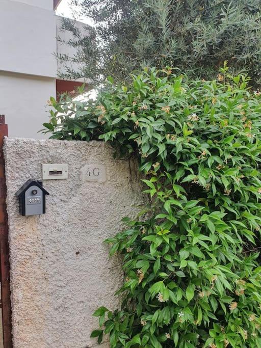 Ccc Holiday Properties Le Vele Ccc Montalto di Castro Eksteriør billede
