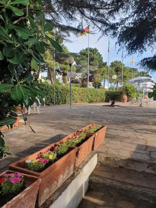 Ccc Holiday Properties Le Vele Ccc Montalto di Castro Eksteriør billede
