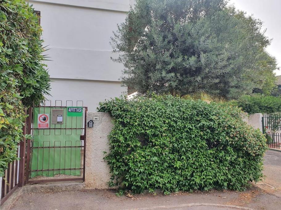 Ccc Holiday Properties Le Vele Ccc Montalto di Castro Eksteriør billede